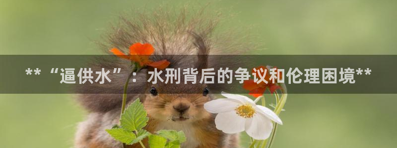 球友会官网登录入口网址