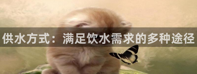 球友会比赛结果查询