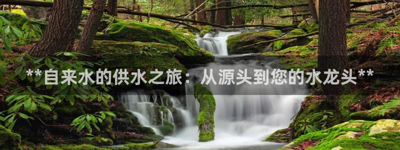 球友会qy怎么进不去